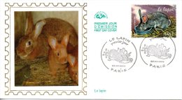 FRANCE. N°3662 De 2004 Sur Enveloppe 1er Jour. Lapin. - Rabbits