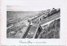 Cpa THARON PLAGE La Grande Plage - Tharon-Plage