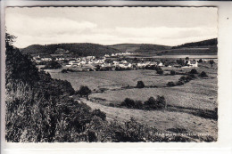 5540 PRÜM - NIEDERPRÜM, Panorama - Pruem