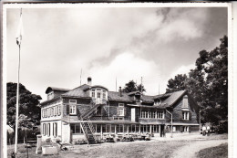 CH 9056 GAIS, Stiftung Zürcher Ferienkolonien, 1955 - Gais