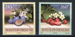 HUNGARY 2014 FLORA Plants FRUITS - Fine Set MNH - Unused Stamps