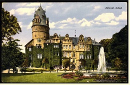 Detmold  -  Schloss  -  Ansichtskarte Ca.1925    (4023) - Detmold