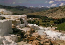 CPSM Yellowstone National Park-Minerva Terrace   L1854 - Yellowstone