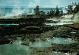 CPSM Yellowstone National Park-Geyser Basin-West Thumb   L1854 - Yellowstone