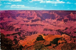 CPSM Grand Canyon National Park   L1854 - Yellowstone