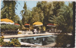 MAROC,MARRAKECH,terrasse Et Jardin De L´hotel Luxe De La MAMOUNIA,1950,édition Cie Des Arts Photomécaniques,rare - Marrakesh