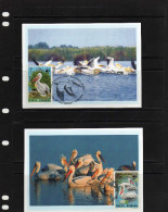 Roumanie: 2005 4 Bellles Cartes Maximum Oiseaux Pélicans - Pelicans