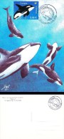 Maximum Kaart, Card, Special Postmark, Orca, Orka - Baleines