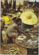 AFRIQUE,AFRIKA,AFRICA,Sén égal,vendeuse De Poisson,poissons,métier,m Archande,vendeuse,marché, Panier - Senegal