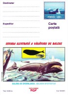 Postwaardestuk, Postal Stationery, Groenland, Greenland, Kalaallit Nunaat, Walvis, Whale, Balaena Mysticetus - Whales