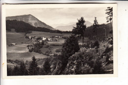 A 8820 NEUMARKT - PÖLLAU, Panorama - Neumarkt