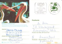 Postwaardestuk, Postal Stationery, Lübeck, Marsepein, Marzipan - Pelicans