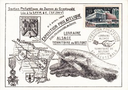 STORIA POSTALE-EXPOSITION PHILATELIQUE LORRAINE ALSACE-BELFORT- 2 SCAN - Eventi E Commemorazioni