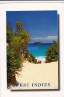 CPM  Des ANTILLES - WEST INDIES - TROPICAL DREAM - Saint-Martin