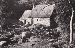 Au Plus Rapide Le Faouët Ste Barbe Le Moulin Blanc CPSM Petit Format Très Bon état - Faouët