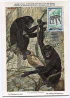 CONGO CARTE MAXIMUM DU N°325  40F. CHIMPANZE  OBLITERATION 1er JOUR BRAZZAVILLE 31 JANV 72 - FDC