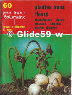 Livret éducatif Volumétrix - N° 60 - Plantes Sans Fleurs - Champignons - Algues - Mousses - Fougères - Plantes Diverses - Lesekarten