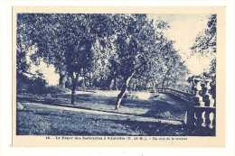 Cp, 82, Réalville, Le Foyer Des Indirectes, Un Coin De La Terrasse - Realville