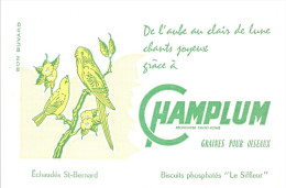 Buvard.Champlum Graines Pour Les Oiseaux De L´aube Au Clair De Lune Chants Joyeux Grace à Champlum Echaudés St Bernard - Animali