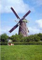 WOUW Bij Roosendaal (Noord-Brabant) - Molen/moulin - Mooie Opname Van Molen De Arend Opgezeild En In Werking In 1967 - Roosendaal