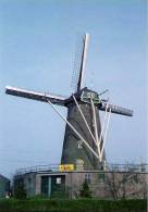 WOUW Bij Roosendaal (Noord-Brabant) - Molen/moulin - Historische Opname Van Molen De Arend Met Van Riet Kleppen - Roosendaal