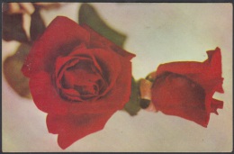 1975-EP-1 CUBA 1975. Ed.118c. ENTERO POSTAL. POSTAL STATIONERY. MOTHER DAY SPECIAL DELIVERY. ROSAS. ROSE. FLOWERS. FLORE - Briefe U. Dokumente