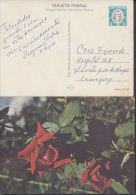 1978-EP-7 CUBA 1978. Ed.122b. MOTHER DAY SPECIAL DELIVERY. CARTULINA MATE. ROSAS. ROSE. FLOWERS. FLORES. USED. - Cartas & Documentos