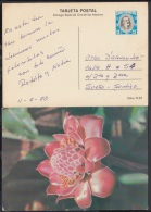 1980-EP-5 CUBA 1980. Ed.125f. MOTHER DAY SPECIAL DELIVERY. ENTERO POSTAL. POSTAL STATIONERY. ROSAS. ROSE. FLOWERS. FLORE - Neufs