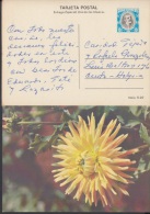 1980-EP-9 CUBA 1980. Ed.125c. MOTHER DAY SPECIAL DELIVERY. ENTERO POSTAL. POSTAL STATIONERY. ROSAS. ROSE. FLOWERS. FLORE - Nuovi