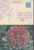 1980-EP-27 CUBA 1980. Ed.125j. MOTHER DAY SPECIAL DELIVERY. ENTERO POSTAL. POSTAL STATIONERY. FLOWERS. FLORES. USED. - Nuovi