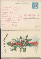 1981-EP-4 CUBA 1981. Ed.128f. MOTHER DAY SPECIAL DELIVERY. ENTERO POSTAL. POSTAL STATIONERY.JARRON DE FLORES. FLOWERS. U - Nuovi