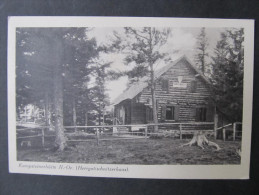 AK KAMPSTEINERHÜTTE Herrgottschnitzerhaus NK Ca.1920 /// D*15007 - Wechsel