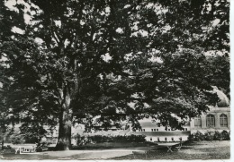 Saint Honoré Les Bains : établissement Thermal - Le Gros Chêne Du Parc (n°10éd Artistic) Arbre Dentelée - Saint-Honoré-les-Bains