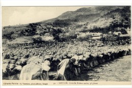 Carte Postale Ancienne Algérie - Bougie (Bejaia). Grande Prière Arabe, 3ème Phase - Religion, Islam - Bejaia (Bougie)