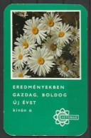 Hungary,Seeds For Flowers, Ox-Eye Daisy. 1980 - Formato Piccolo : 1971-80