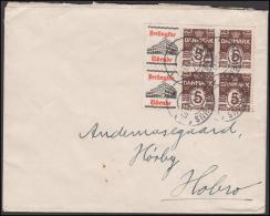 1927-1930. Wavy-line. Complete Bookletpane With 6-block BERLINGSKE TIDENDE + 5 øre Brow... (Michel: R 30) - JF171154 - Abarten Und Kuriositäten