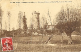 Mehun-sur-Yèvre - Ruines Du Château De Charles VII, Vues Des Prés à L'Est - Mehun-sur-Yèvre