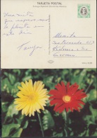 1976-EP-1 CUBA 1976. Ed.119d. ENTERO POSTAL. POSTAL STATIONERY. MOTHER DAY SPECIAL DELIVERY. FLOWERS. FLORES. USED. - Cartas & Documentos