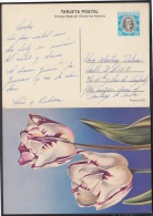 1983-EP-9 CUBA 1983. Ed.133b. MOTHER DAY SPECIAL DELIVERY. ENTERO POSTAL. POSTAL STATIONERY.TULIPANES. FLOWERS. FLORES. - Covers & Documents