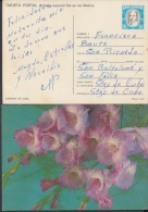 1985-EP-1 CUBA 1985. Ed.136a. MOTHER DAY SPECIAL DELIVERY. ENTERO POSTAL. POSTAL STATIONERY. FLOWERS. FLORES. USED. - Brieven En Documenten