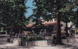 The Plaza Pool And Carnivora House Zoological Park Toledo Ohio - Toledo