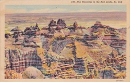 The Pinnacles In The Bad Lands South Dakota - Autres & Non Classés