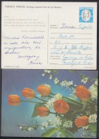 1987-EP-34 CUBA 1987. Ed.143. MOTHER DAY SPECIAL DELIVERY. POSTAL STATIONERY. FLORES. FLOWERS. VERSO: ROBERTO FERNANDEZ. - Unused Stamps