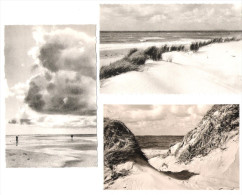 Germany - 3 AK - Nordseeinsel Amrum - Dünen Und Meer Mit Blick Auf Die Insel Sylt - Nordfriesland