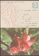 1990-EP-11 CUBA 1990. Ed.148. MOTHER DAY SPECIAL DELIVERY. POSTAL STATIONERY. ERROR DE COLOR. FLOWERS. FLORES. USED. - Briefe U. Dokumente