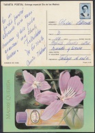 1991-EP-9 CUBA 1991. Ed.149a. MOTHER DAY SPECIAL DELIVERY. POSTAL STATIONERY. FLORES Y PERFUMES. FLOWERS. USED. - Cartas & Documentos