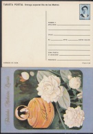 1991-EP-13 CUBA 1991. Ed.149b. MOTHER DAY SPECIAL DELIVERY. POSTAL STATIONERY. FLORES Y PERFUMES. FLOWERS. UNUSED. - Lettres & Documents