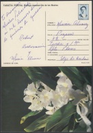 1991-EP-34 CUBA 1991. Ed.149i. MOTHER DAY SPECIAL DELIVERY. ENTERO POSTAL. POSTAL STATIONERY. FLORES. FLOWERS. USED. - Lettres & Documents