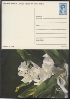 1991-EP-35 CUBA 1991. Ed.149i. MOTHER DAY SPECIAL DELIVERY. ENTERO POSTAL. POSTAL STATIONERY. FLORES. FLOWERS. UNUSED. - Cartas & Documentos