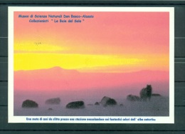 Italie 2001 - Carte Postale "une Meute De Chiens De Traîneau" - Fauna Antártica